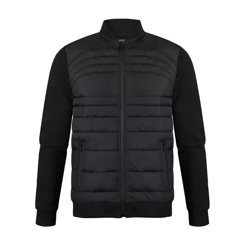 Реглан Franky Darlings