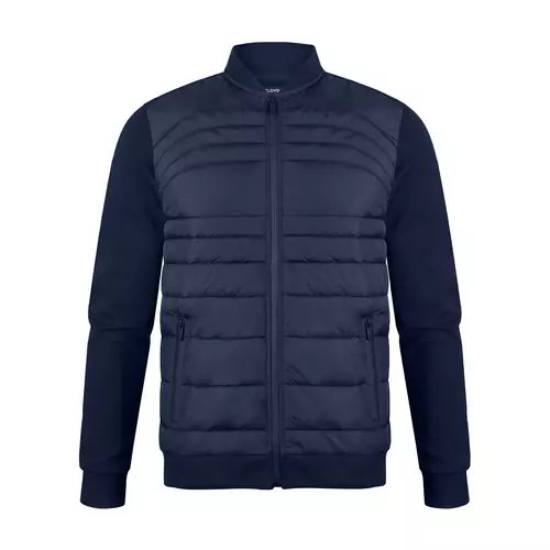 Реглан Franky Darlings